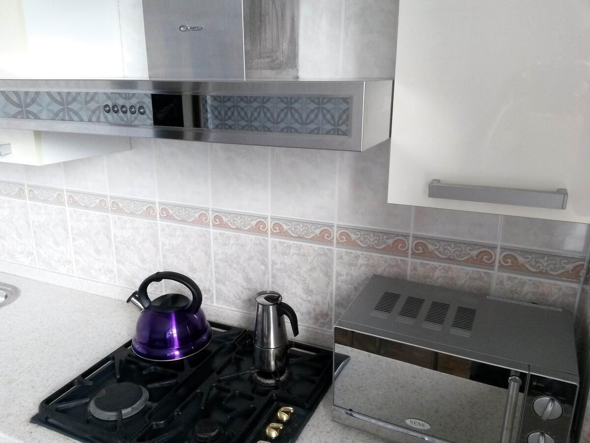 "Картина Горных Вершин" Квартира- "Mountain View" Apartment Ałma Ata Zewnętrze zdjęcie